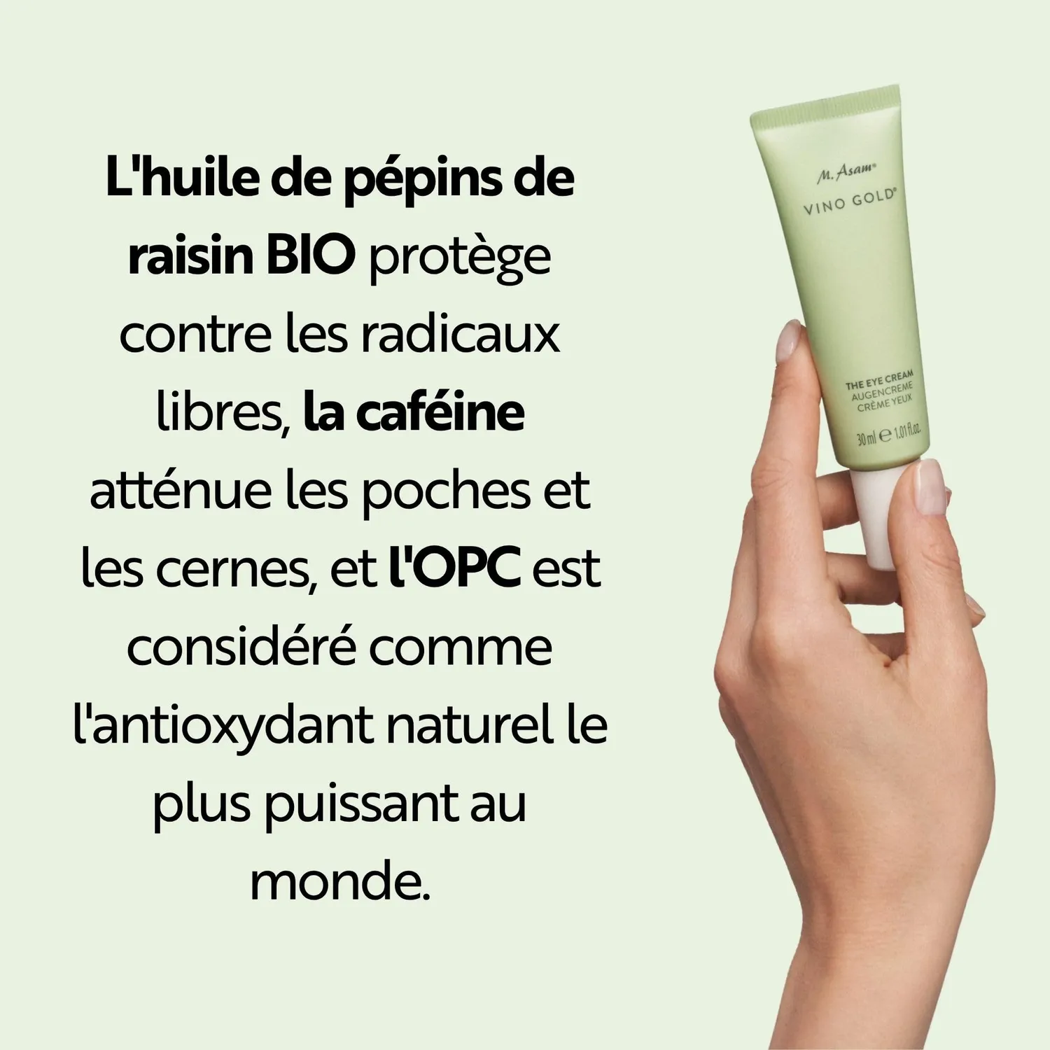 M. Asam Vino Gold Crème contour des yeux 15 ml caféine