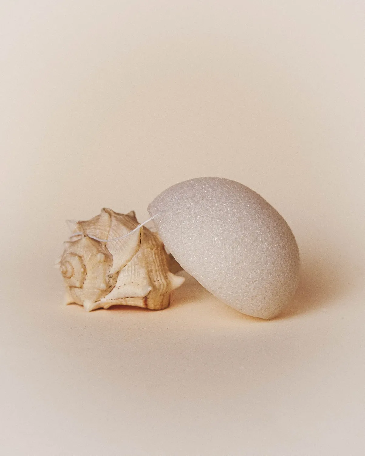 Absolution L’Eponge Konjac éponge démaquillante naturelle
