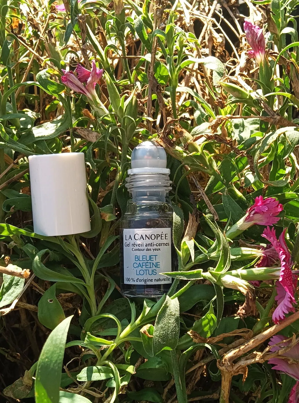 La Canopée Gel Réveil contour yeux anti-cernes 6 ml