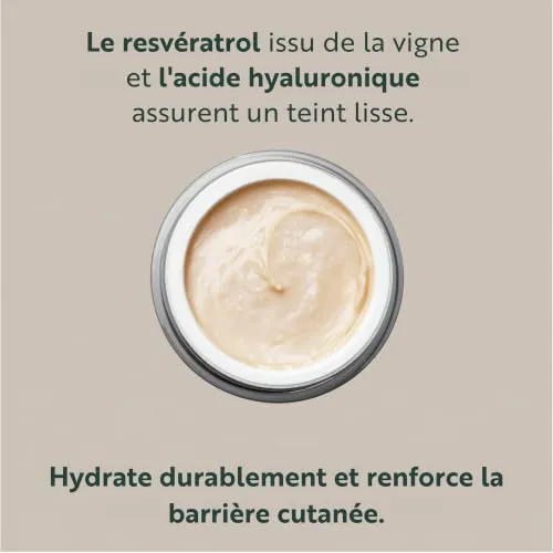 M. Asam Resveratrol Premium NT50 contour yeux 30 ml sans parfum